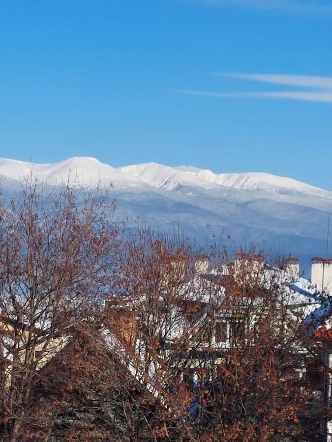 Лукс Апартамент 班斯科 外观 照片